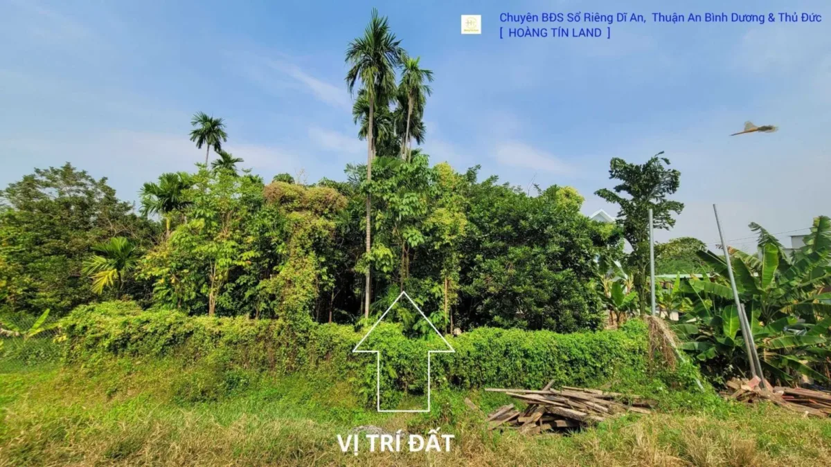 Bán đất 19x44m hẻm Hưng Định 17 gần Ngã Tư Đất Thánh
