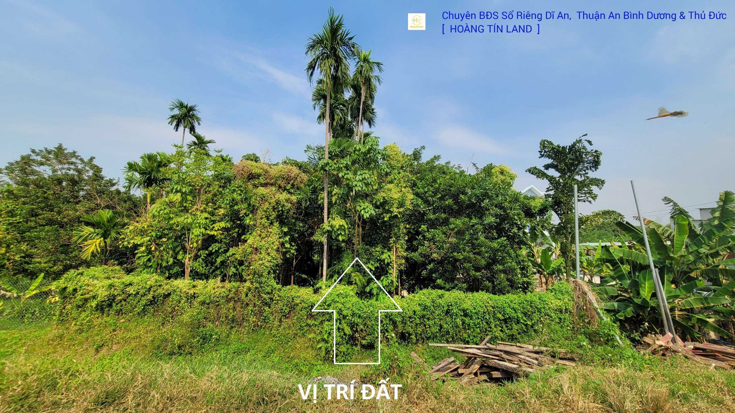 Bán đất 19x44m hẻm Hưng Định 17 gần Ngã Tư Đất Thánh