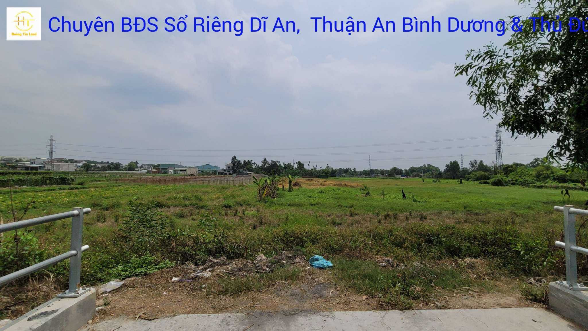 Bán đất 43x25m mặt tiền Suối Cây Trường gần Dự án Đông Bình Dương