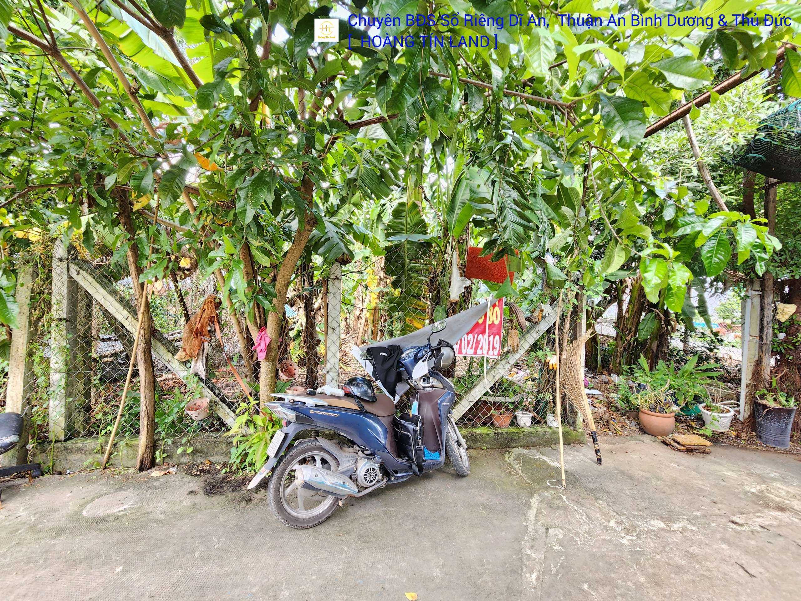 Bán đất 8x38m mặt tiền Hưng Định 21 gần chợ Búng