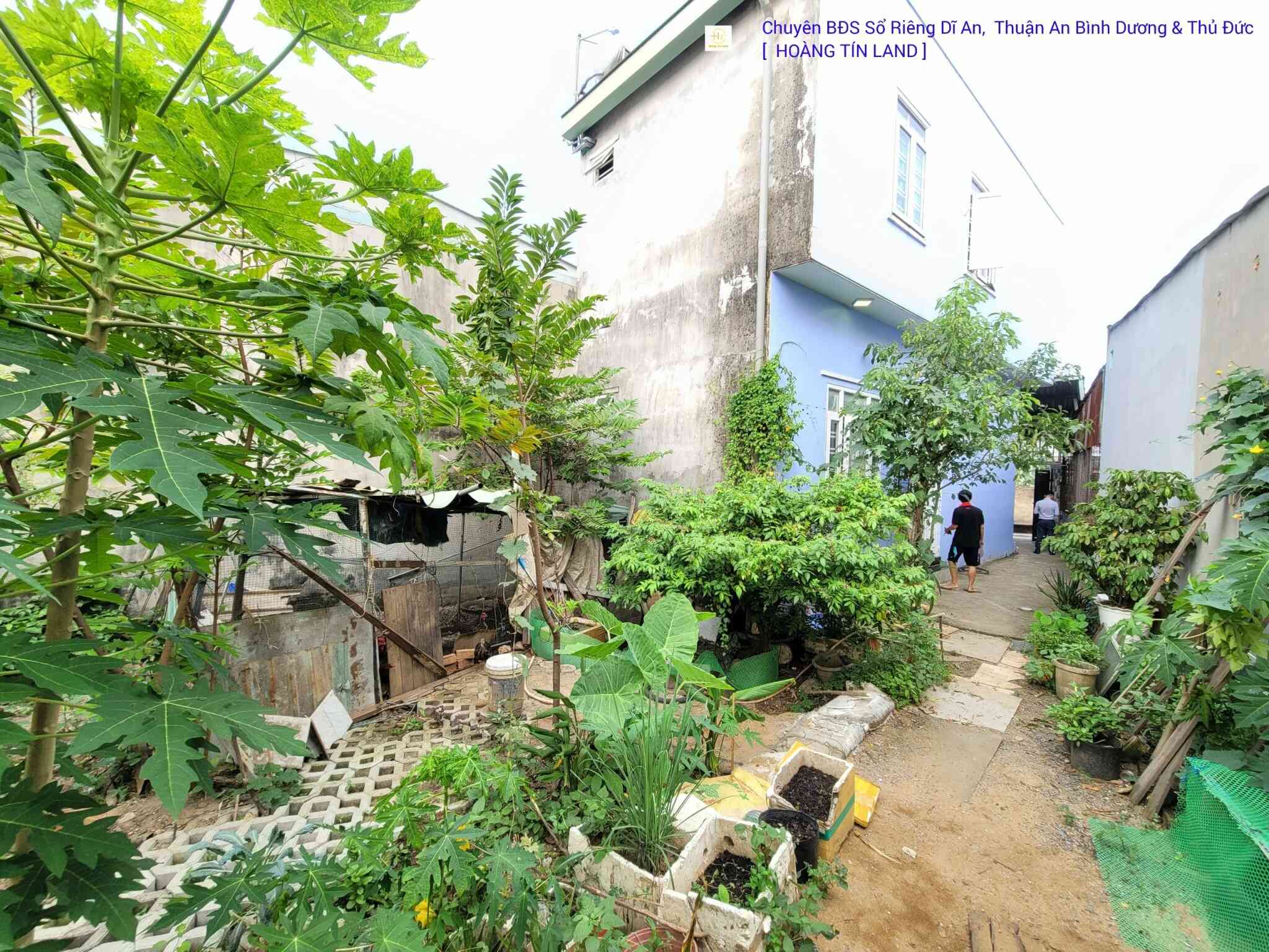 htl1089-(11)_optimized