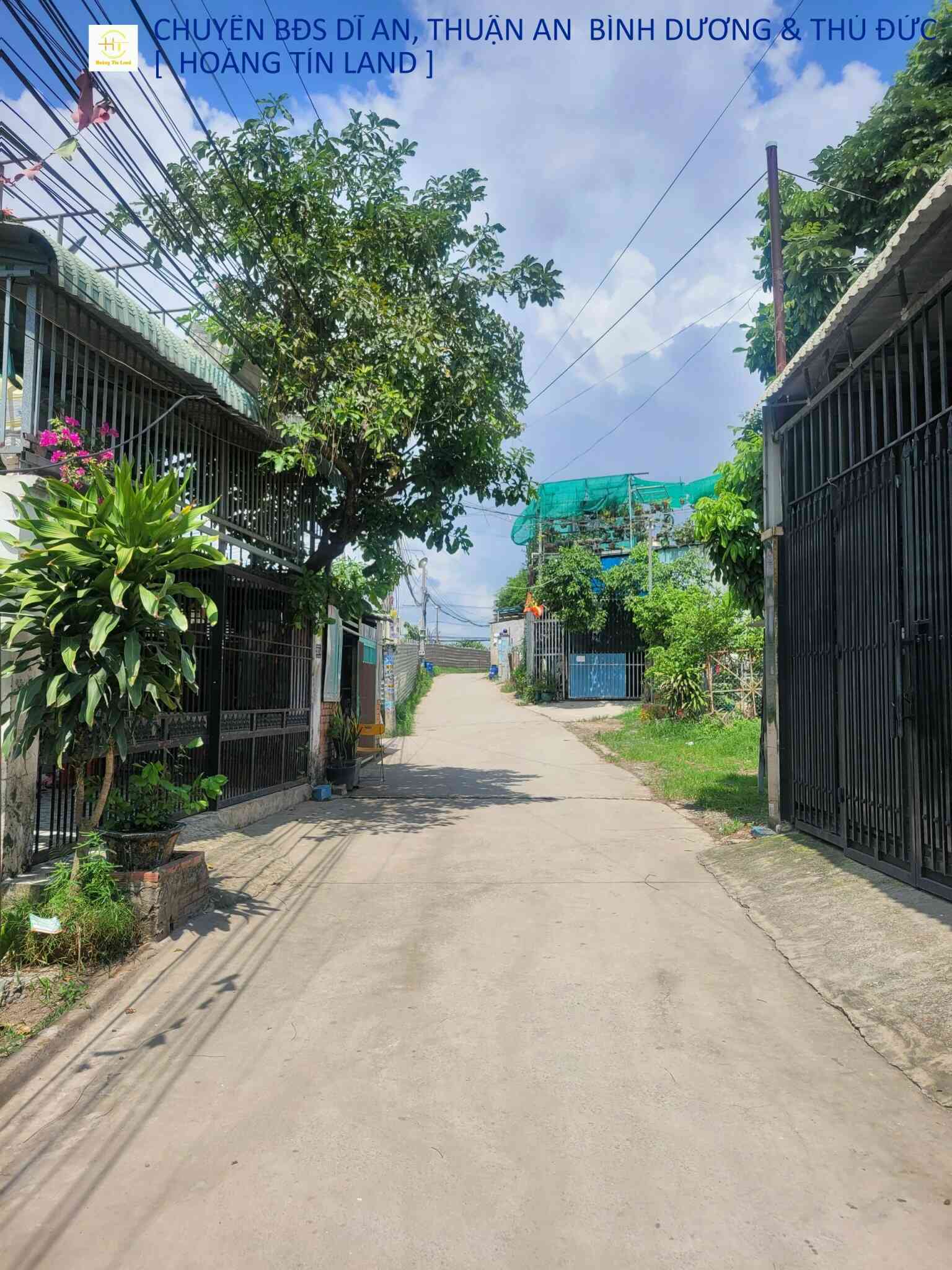 htl2159-(5)_optimized