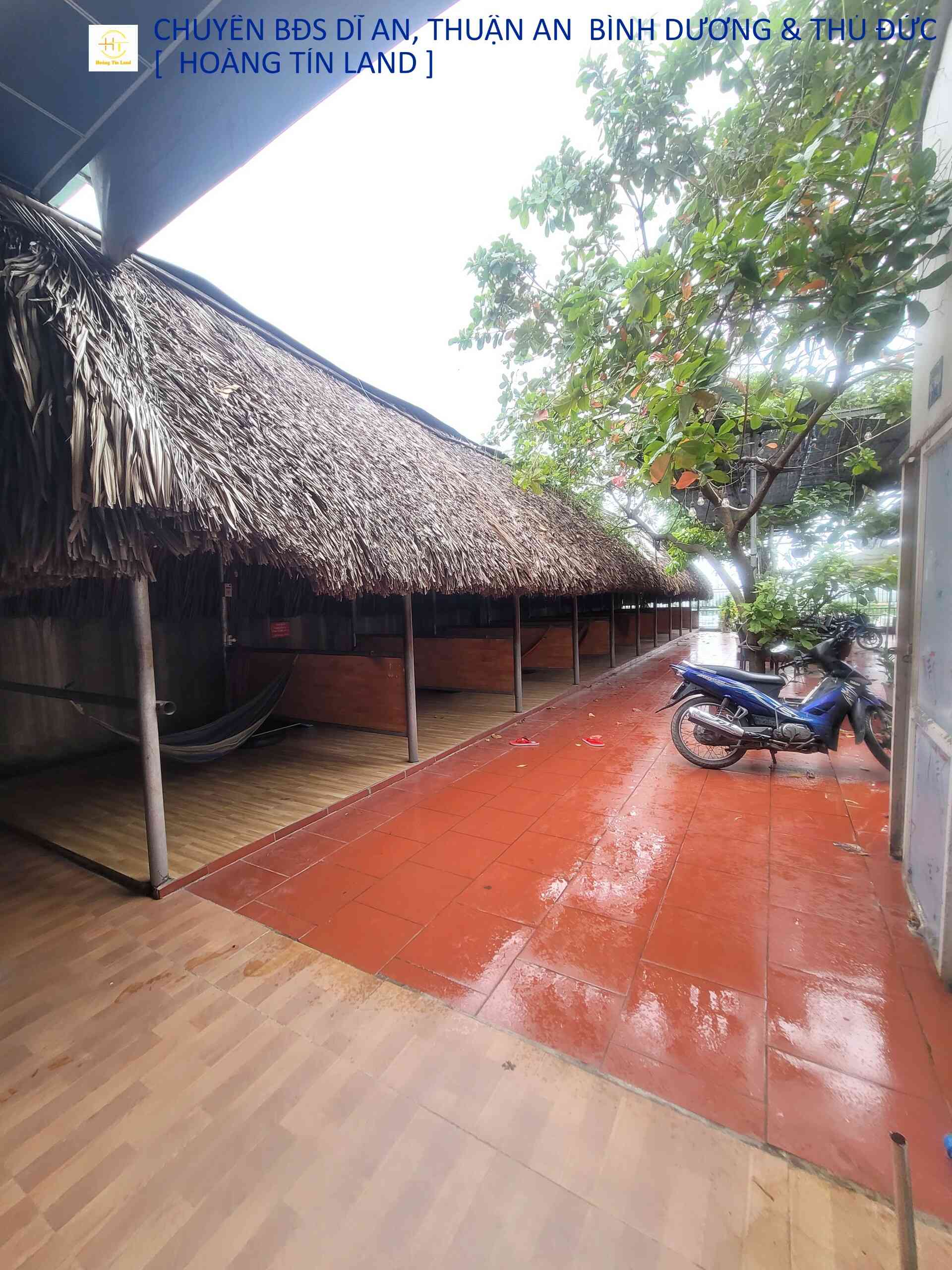 htl3146-(8)_optimized