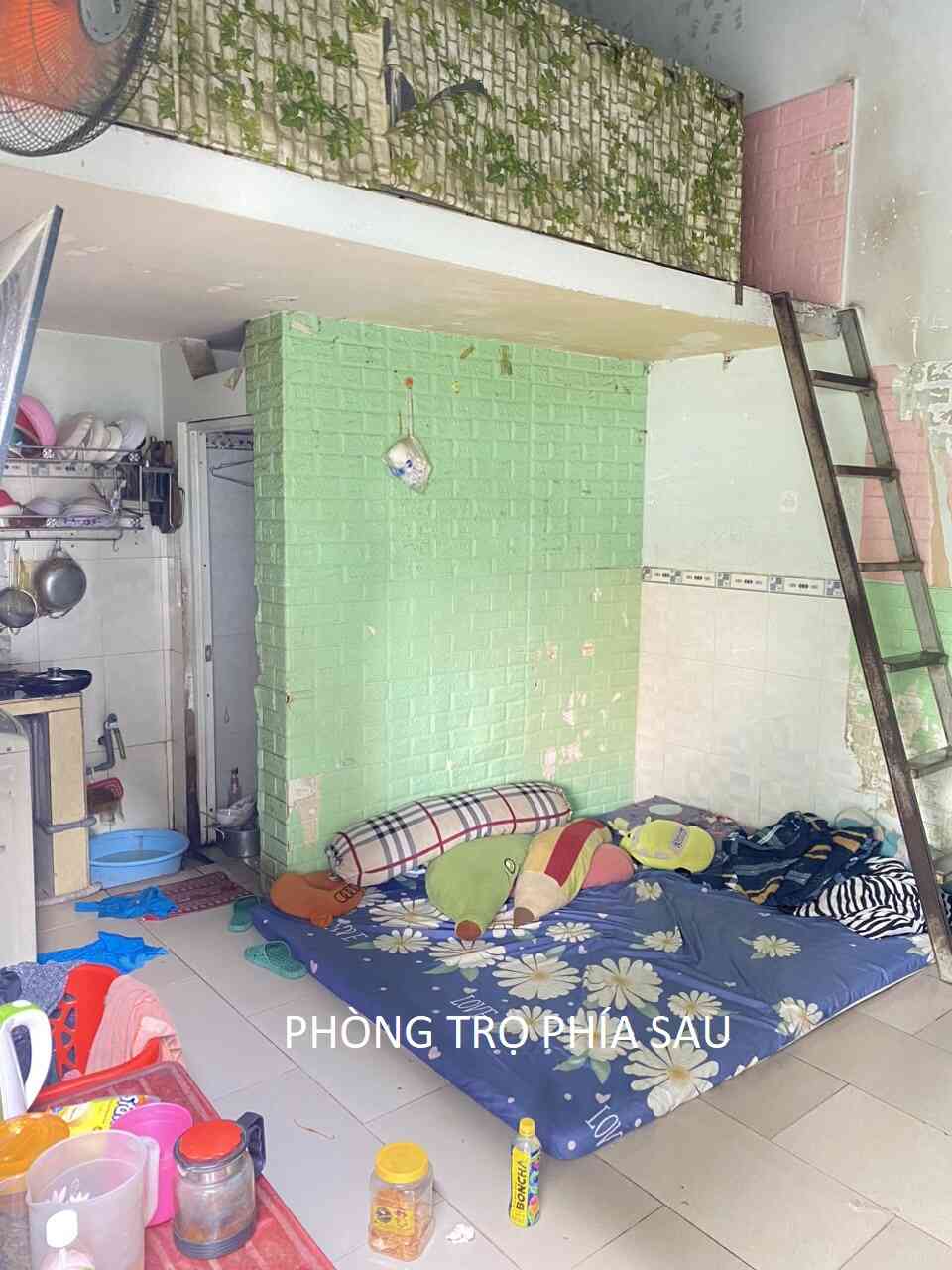 htl3762-(8)_optimized