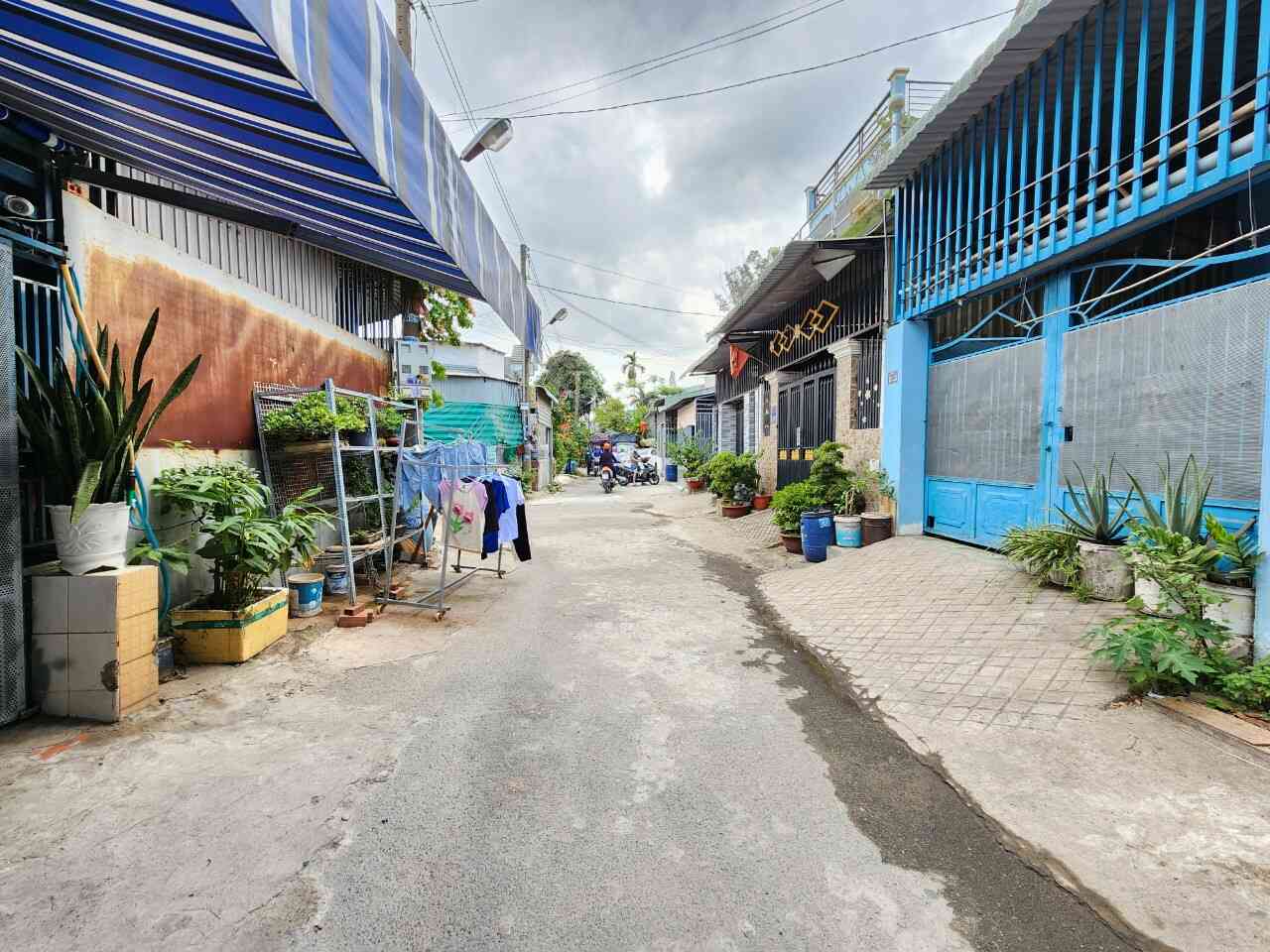 htl3925-(5)_optimized