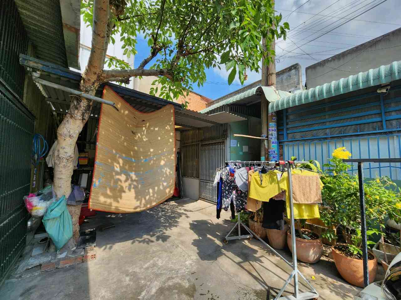 htl3893-(5)_optimized