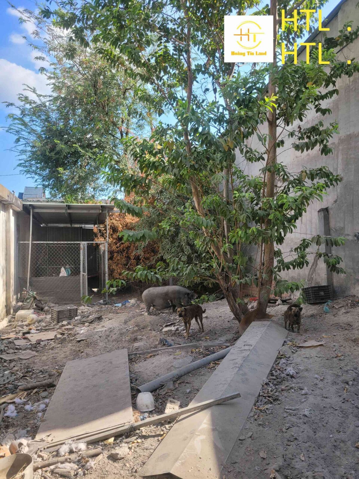 htl3981-(14)_optimized