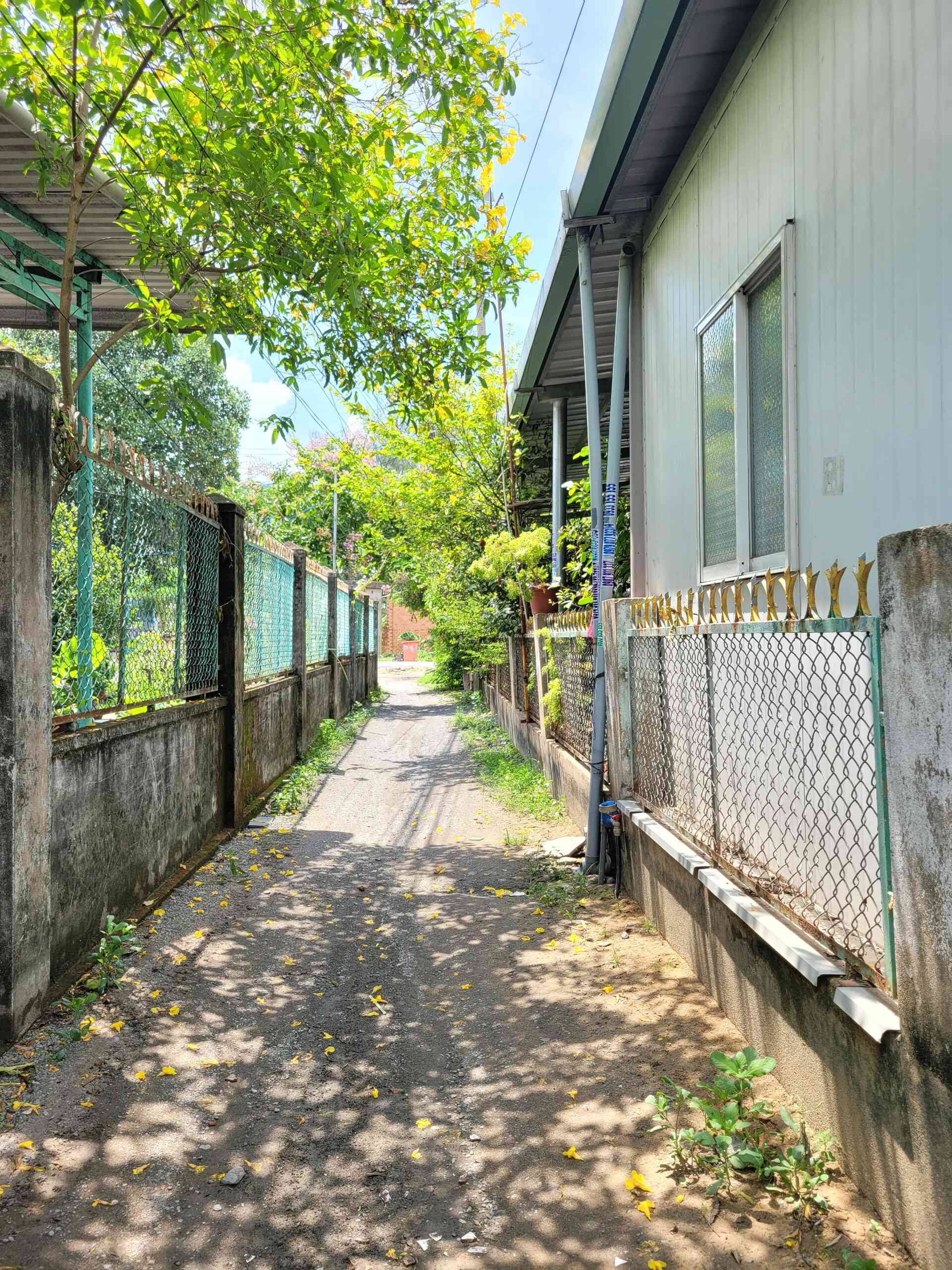 htl4124-(5)_optimized