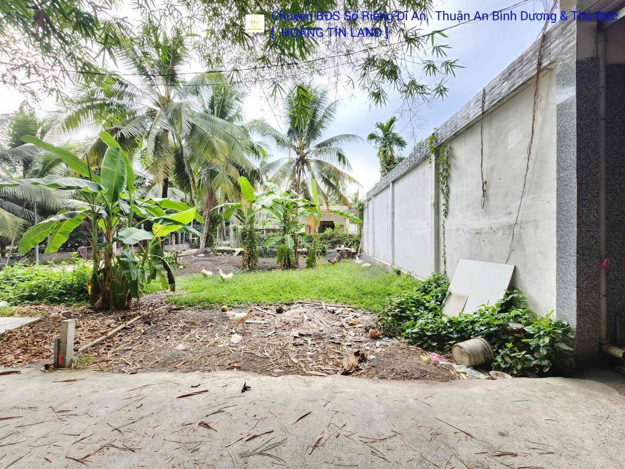 Bán đất 5.5x15m hẻm An Sơn 1 p.An Sơn gần sông sài gòn