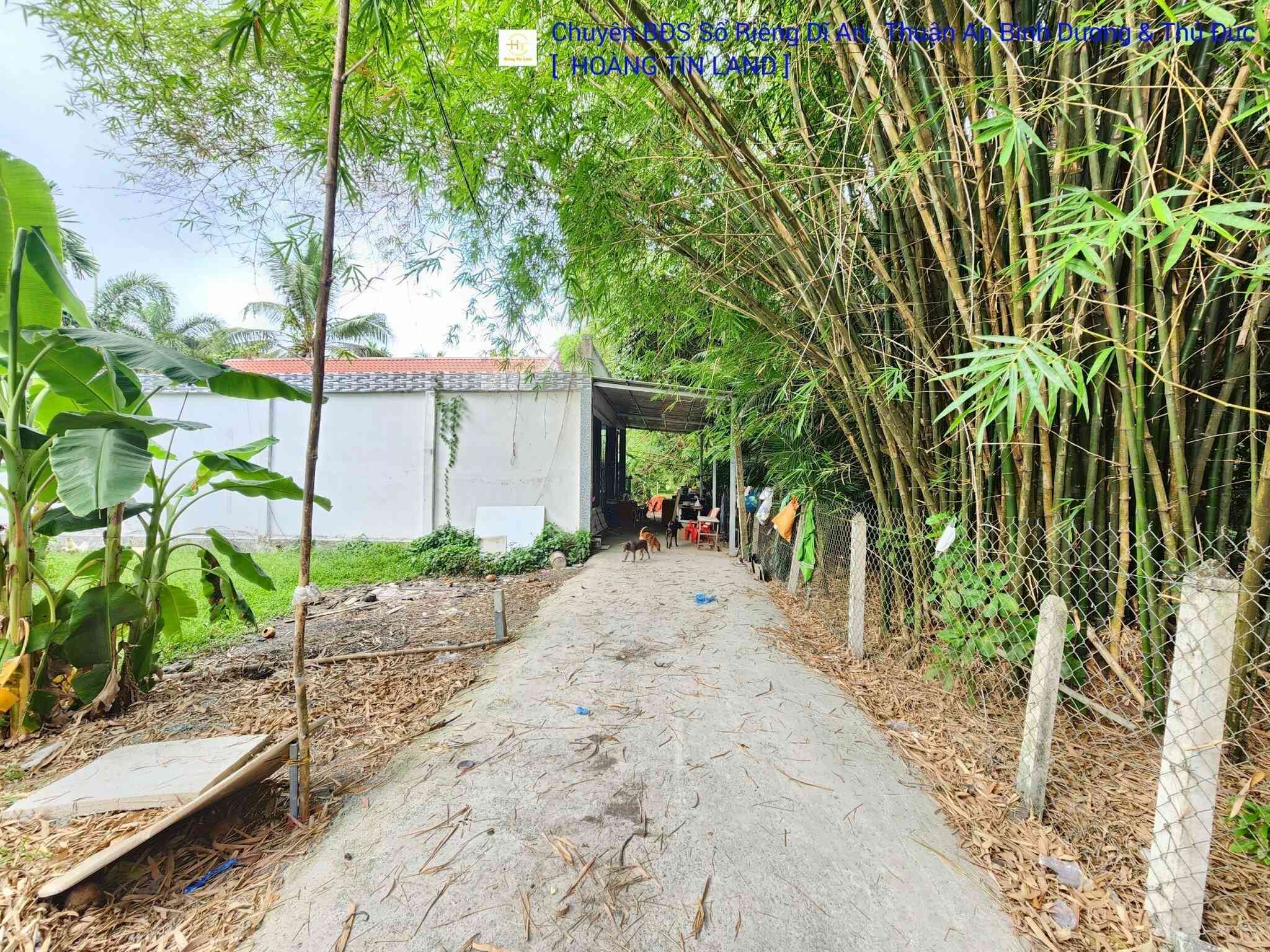 htl1981-(5)_optimized