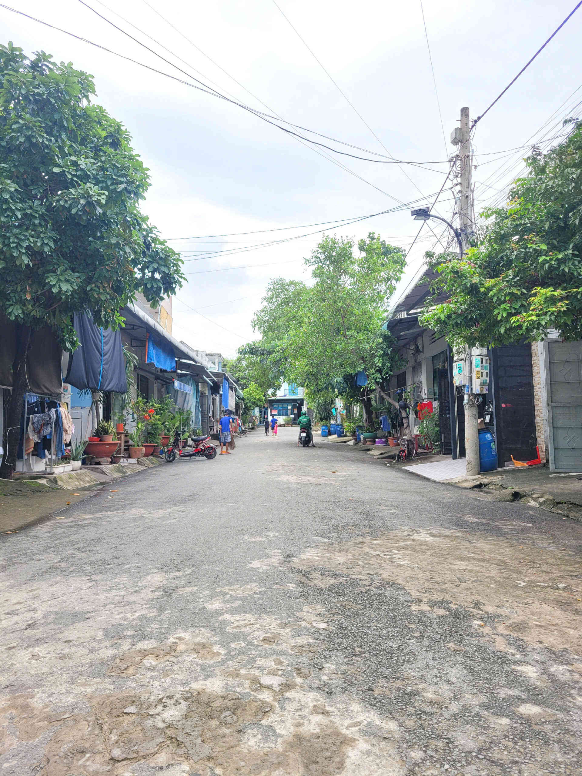 htl5399-(5)_optimized