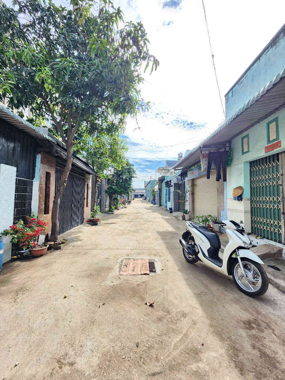 htl5623-(4)_optimized