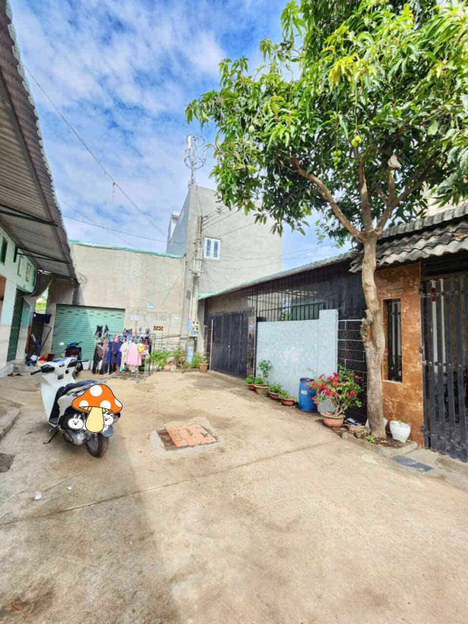 htl5623-(5)_optimized