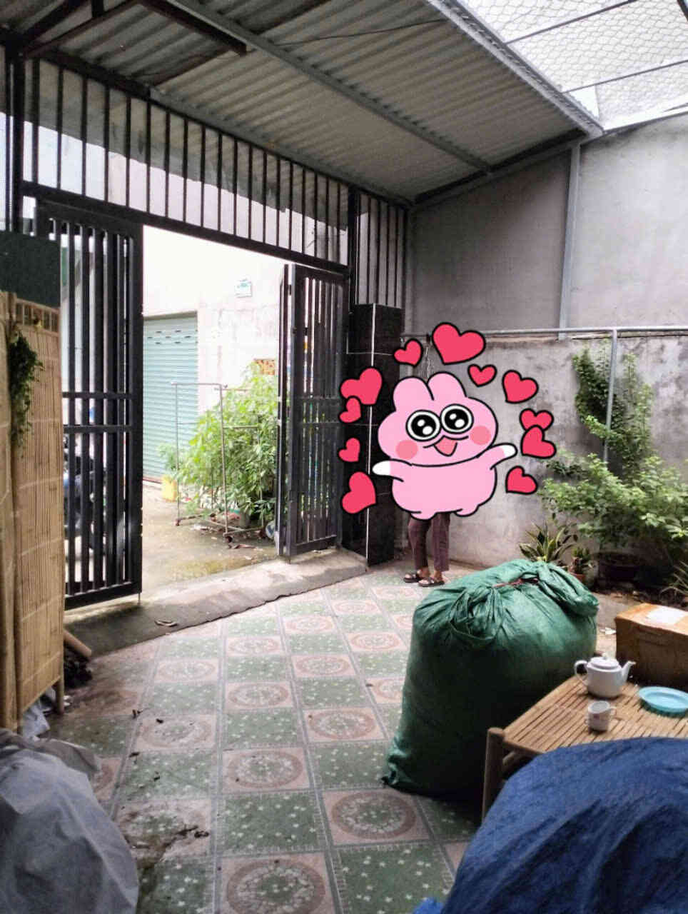 htl5623-(6)_optimized