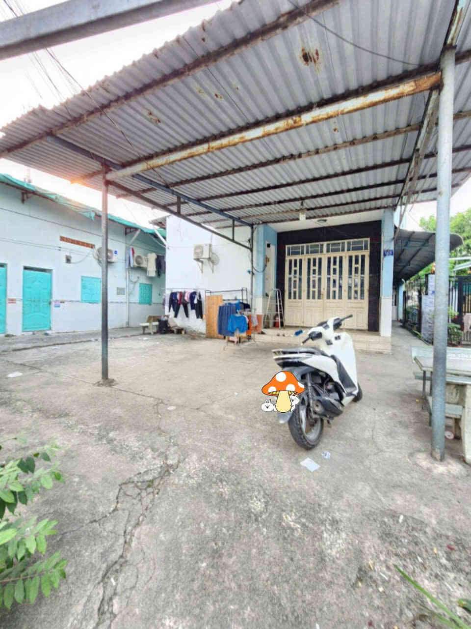 htl5647-(5)_optimized