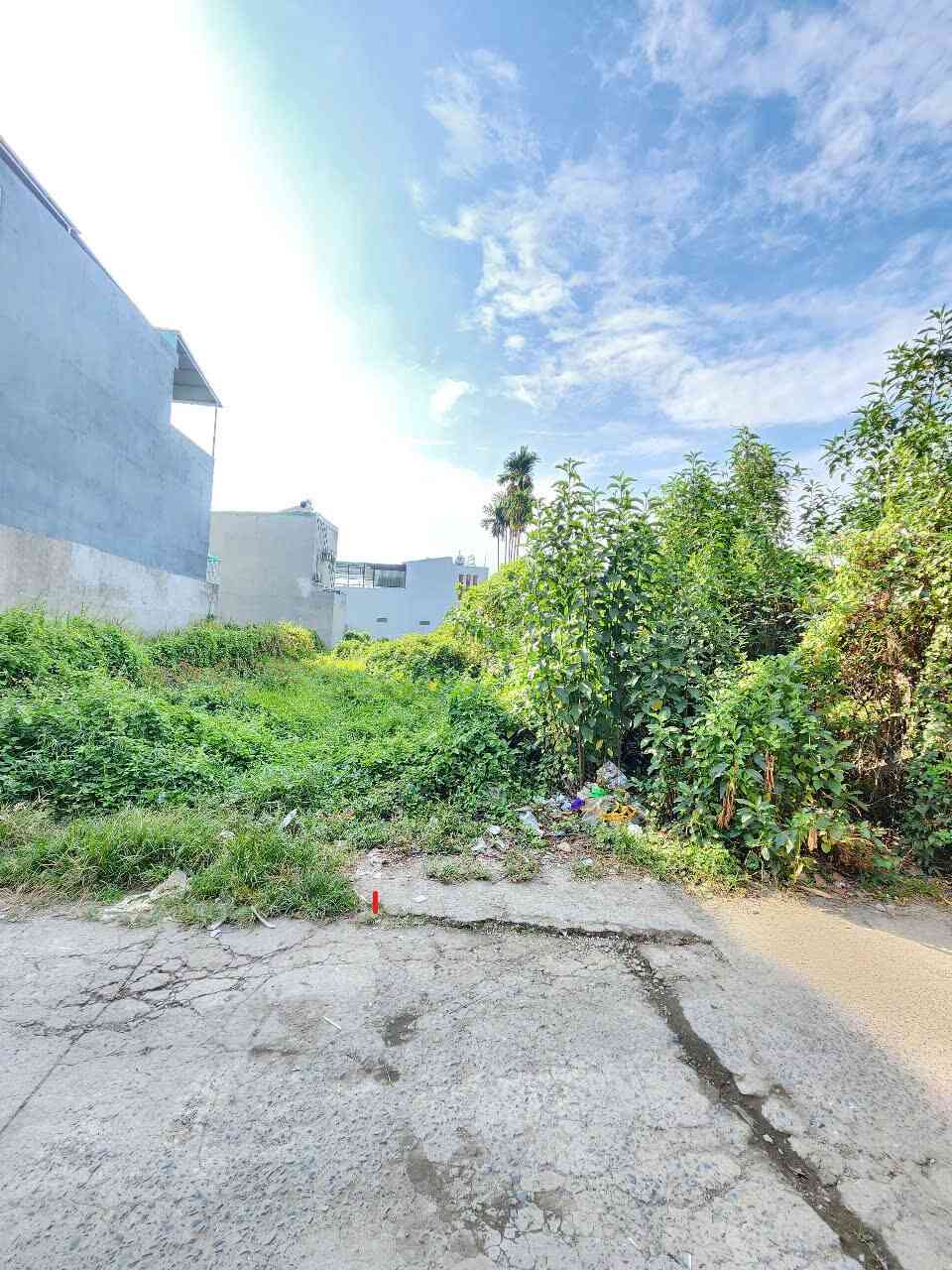 Bán đất 5x31m, mặt tiền Bình Nhâm 40 p. Bình Nhâm