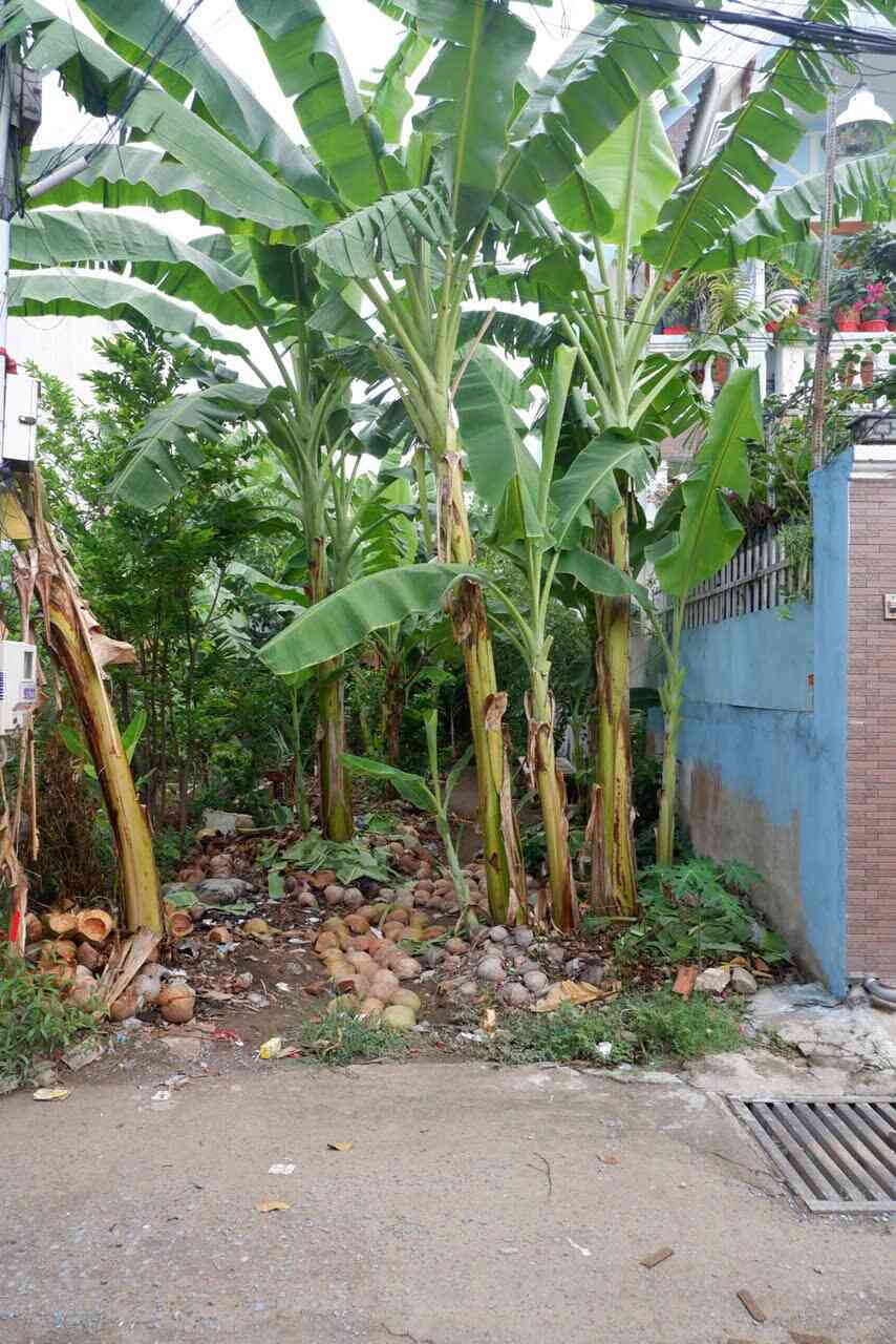 Bán đất 4x23m, hẻm Bùi Hữu Nghĩa p. Tân Hạnh, thổ cư 100%