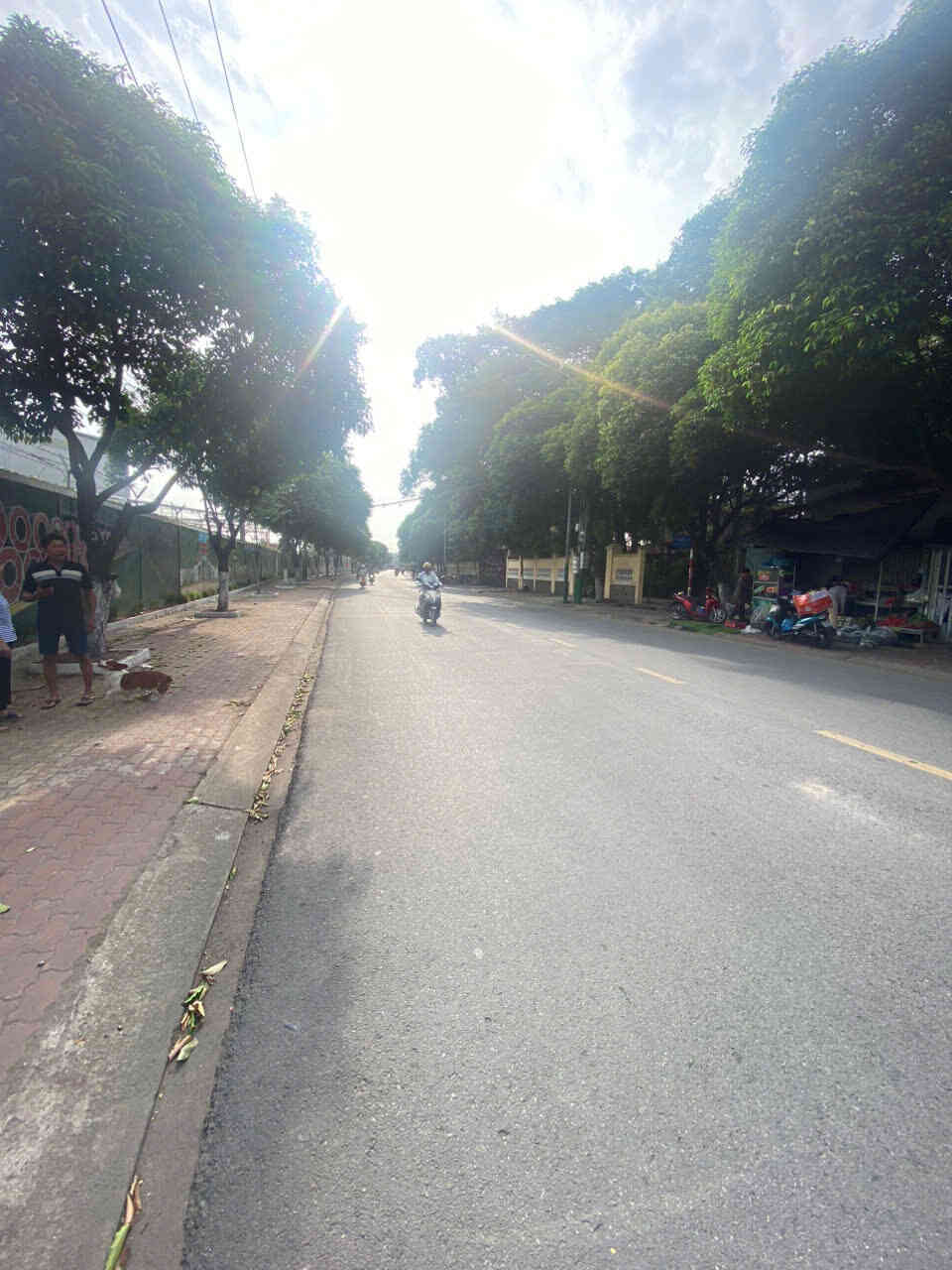 htl6216-(5)_optimized