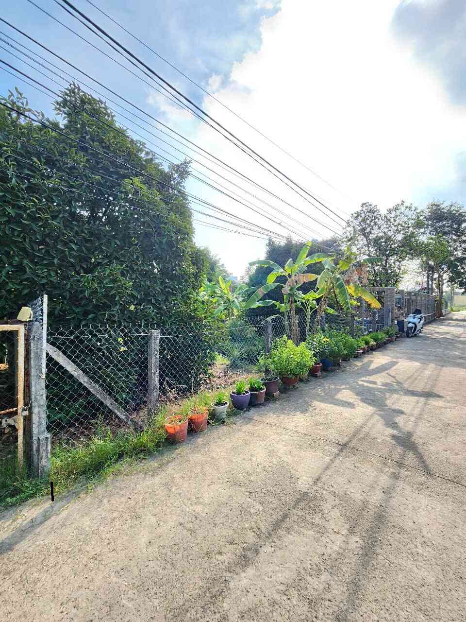 Bán đất 14x32m, mặt tiền An Thạnh 29 P. An Thạnh