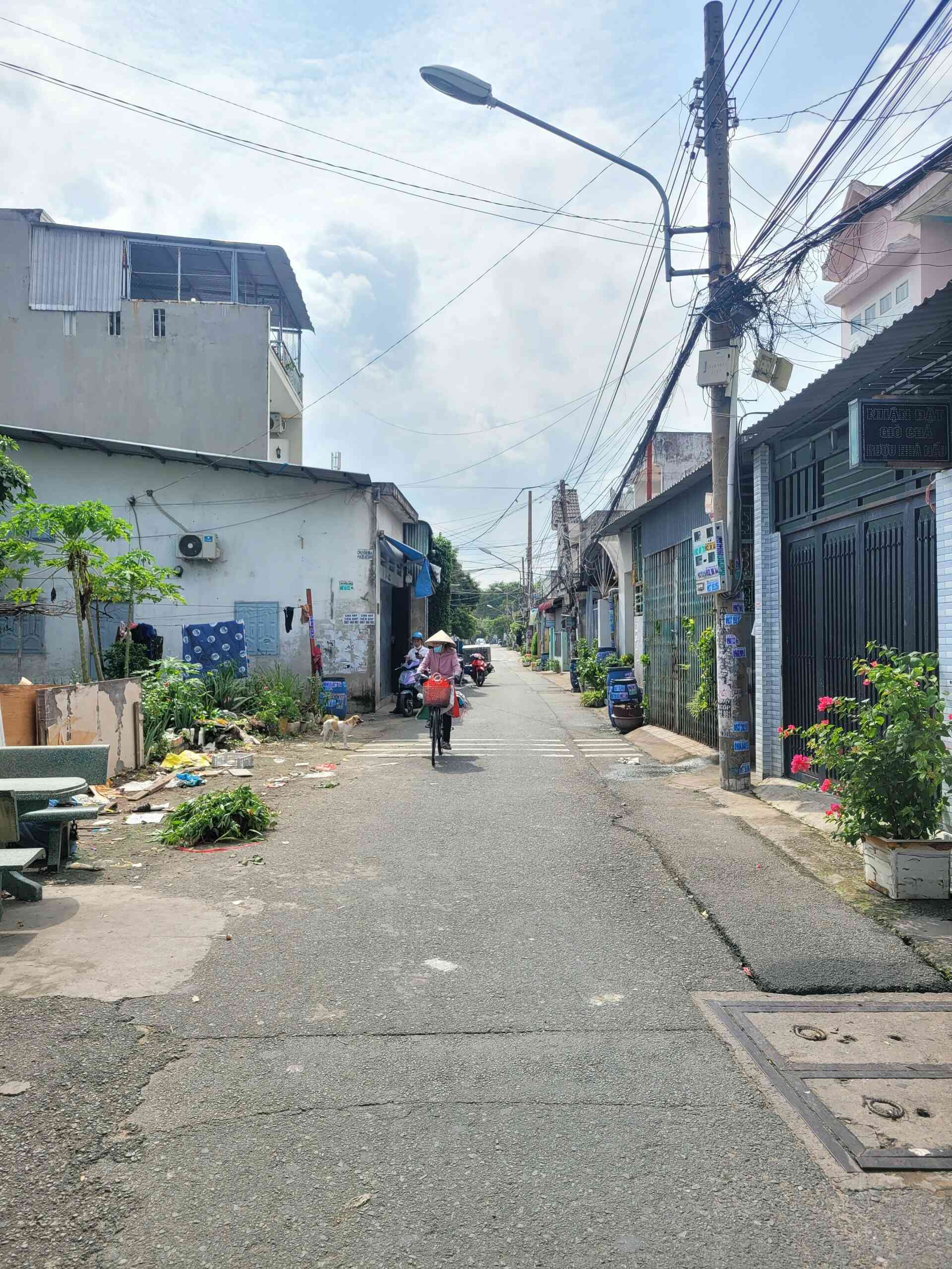 htl4461-(5)_optimized