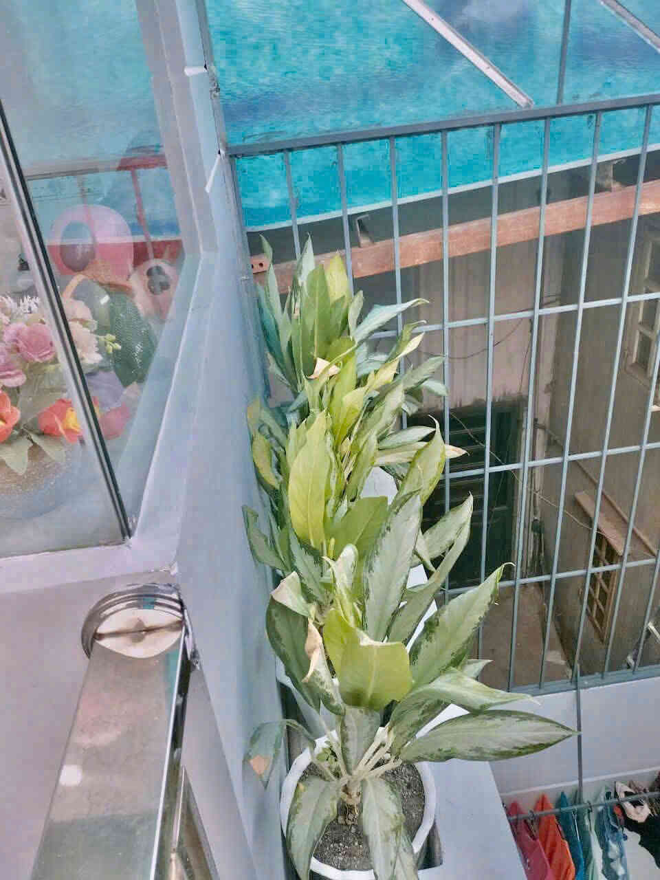 htl6322-(11)_optimized