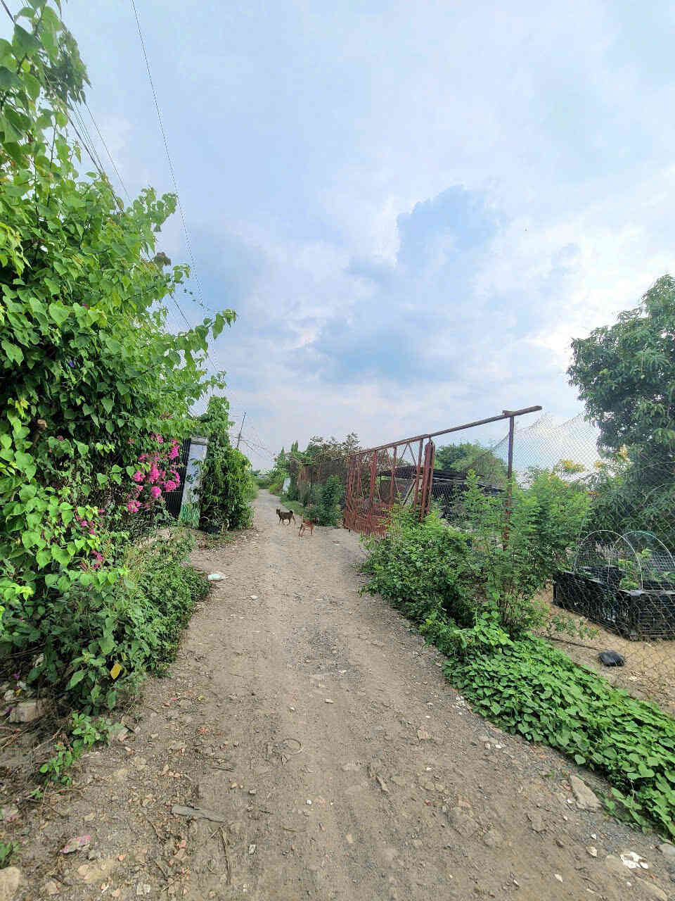 htl6373-(4)_optimized