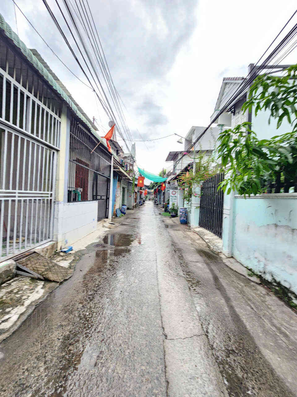 htl6564-(3)_optimized