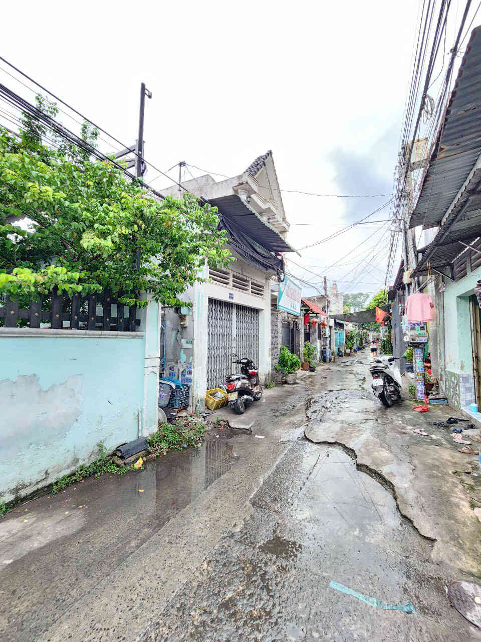 htl6564-(5)_optimized