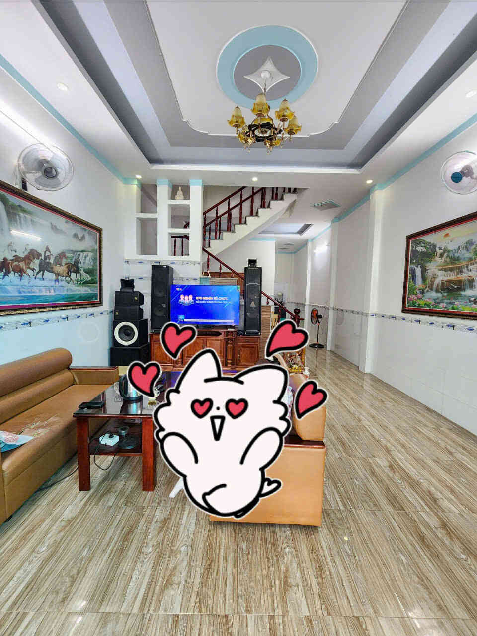 htl6567-(6)_optimized