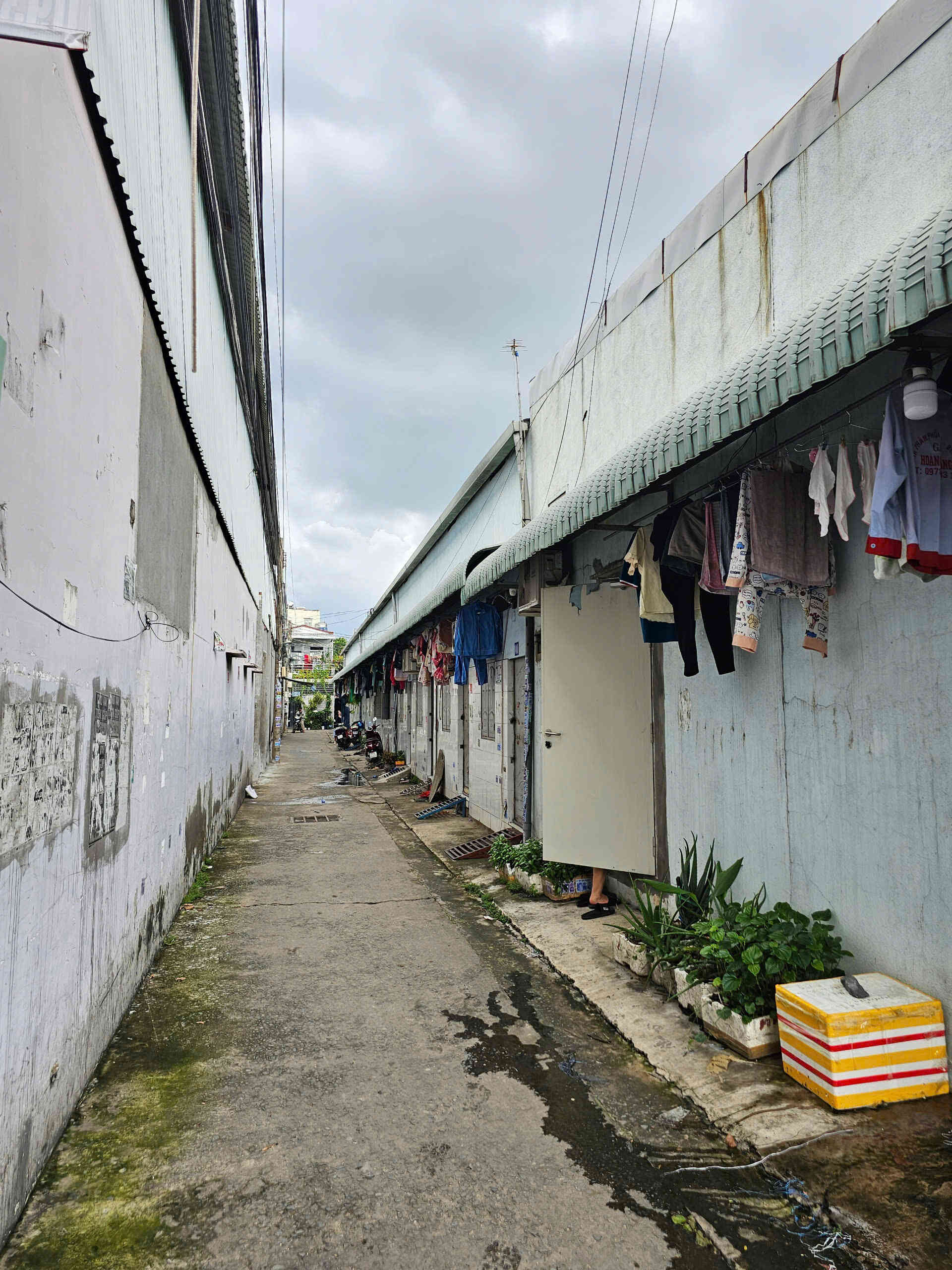 htl6581-(6)_optimized