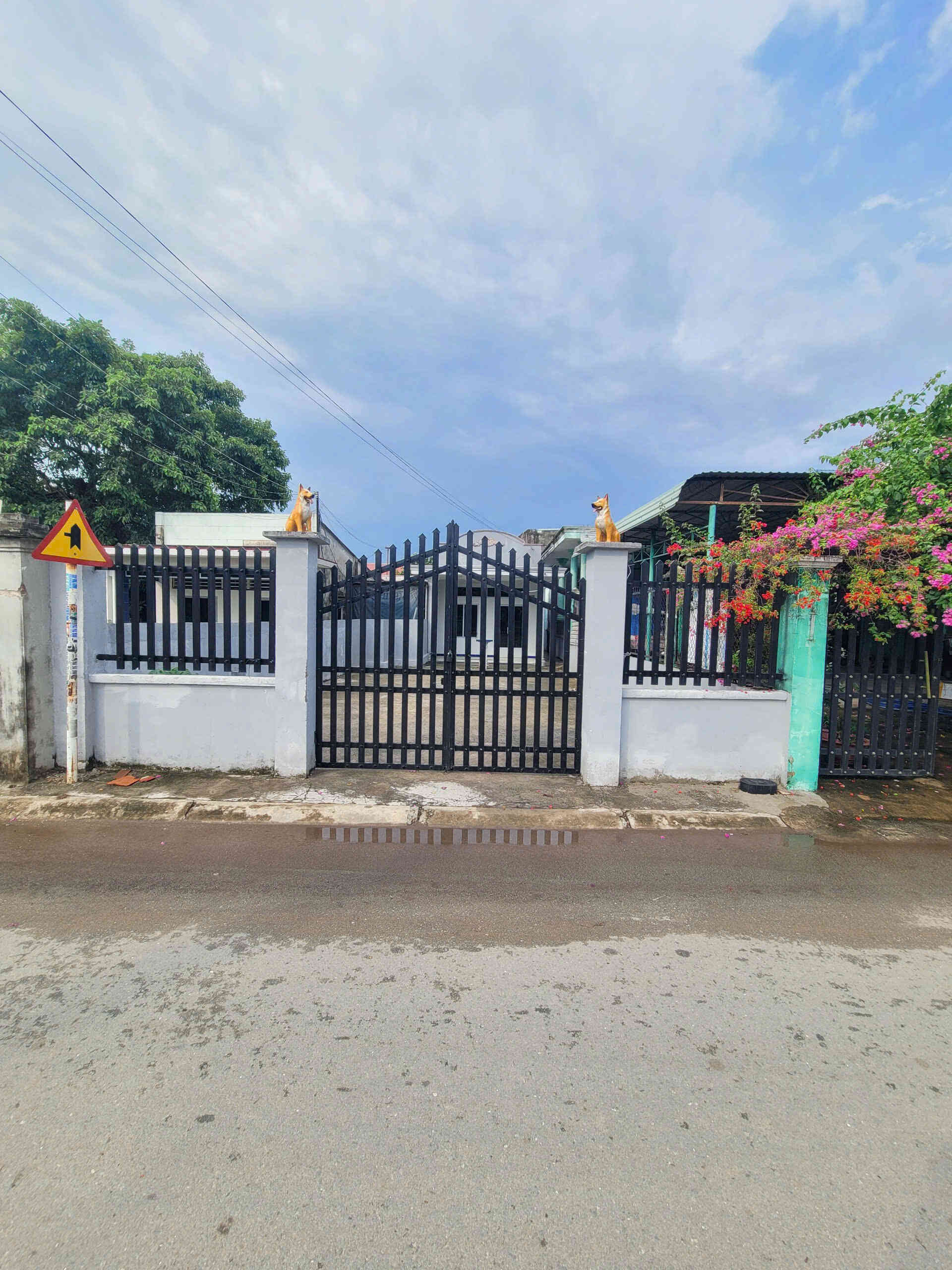 Bán nhà cấp 4 (6.6x37.8m), mặt tiền Hoàng Cầm p.Bình Thắng kế làng đại học