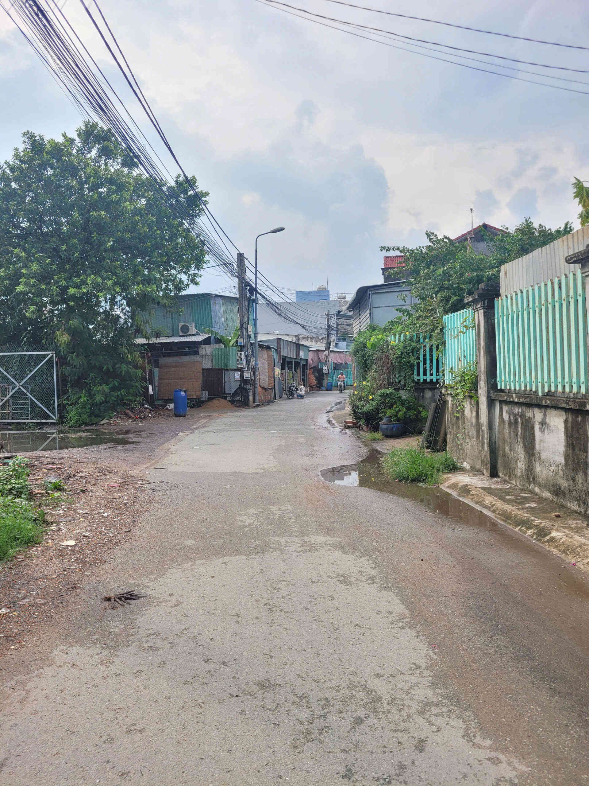 htl6591-(3)_optimized