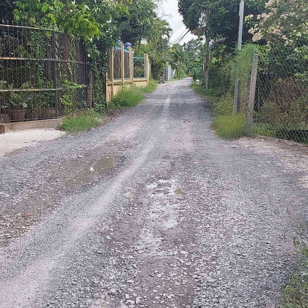 htl6623-(3)_optimized