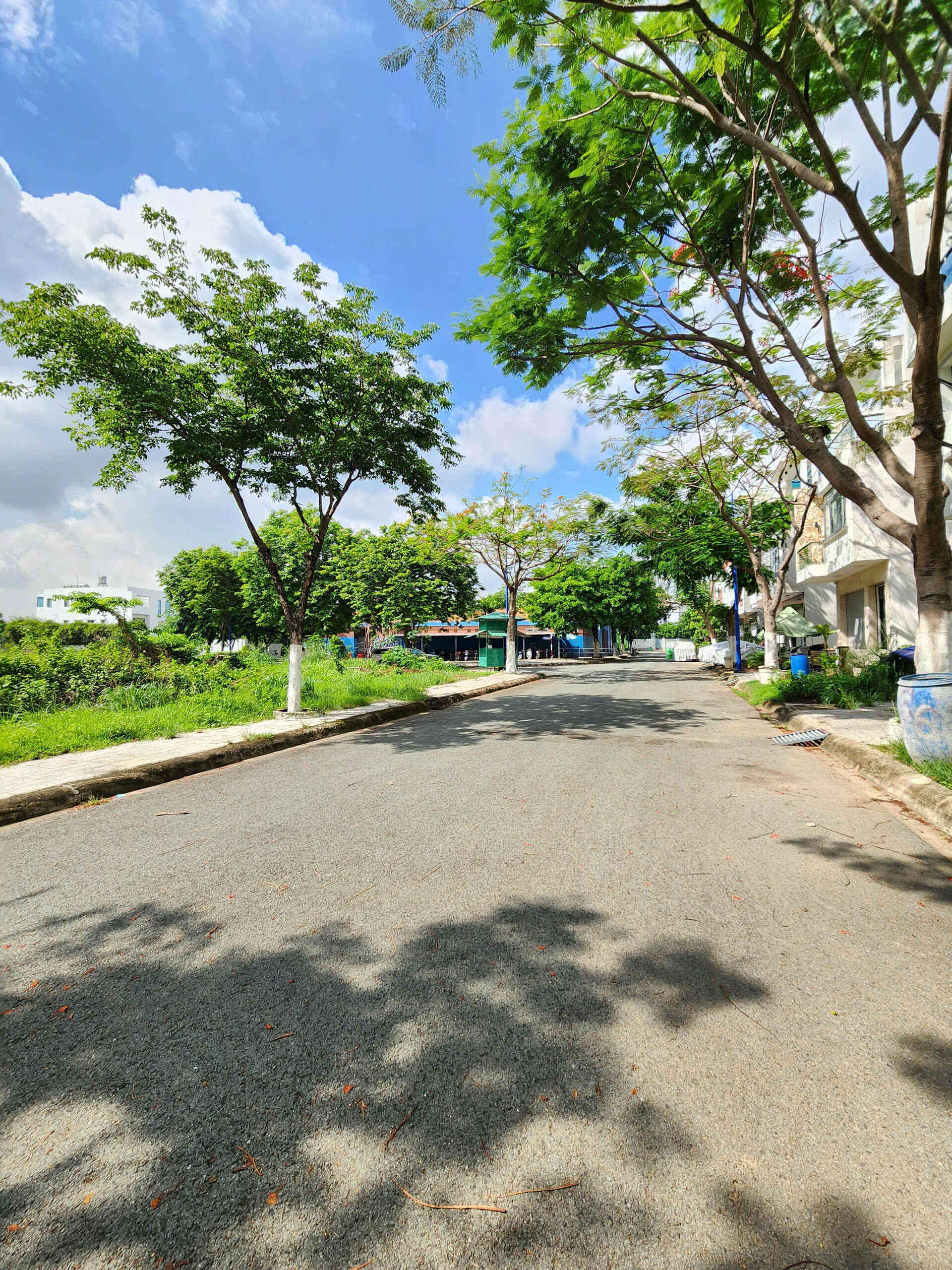 htl6666_1-(4)_optimized