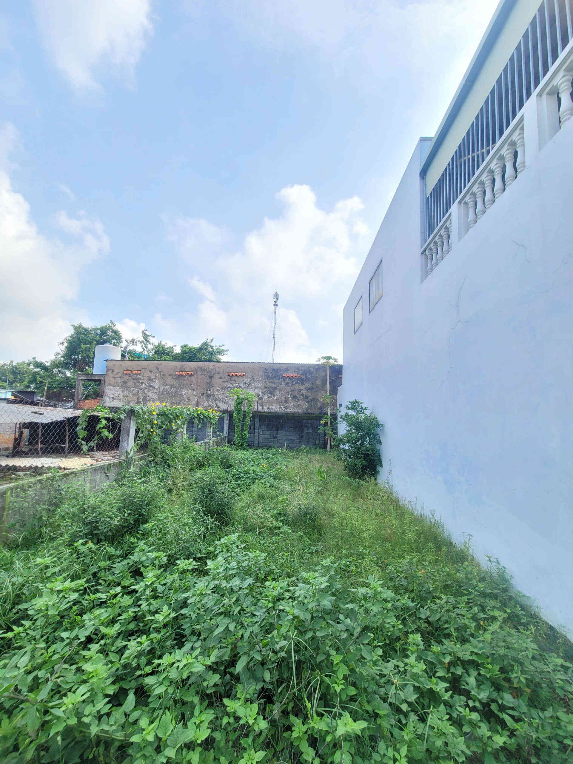 htl6672-(5)_optimized