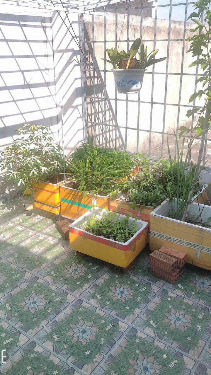 htl6811-(9)_optimized