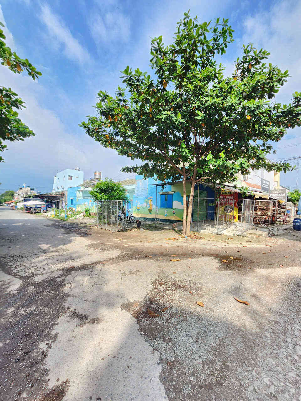 htl6869-(4)_optimized