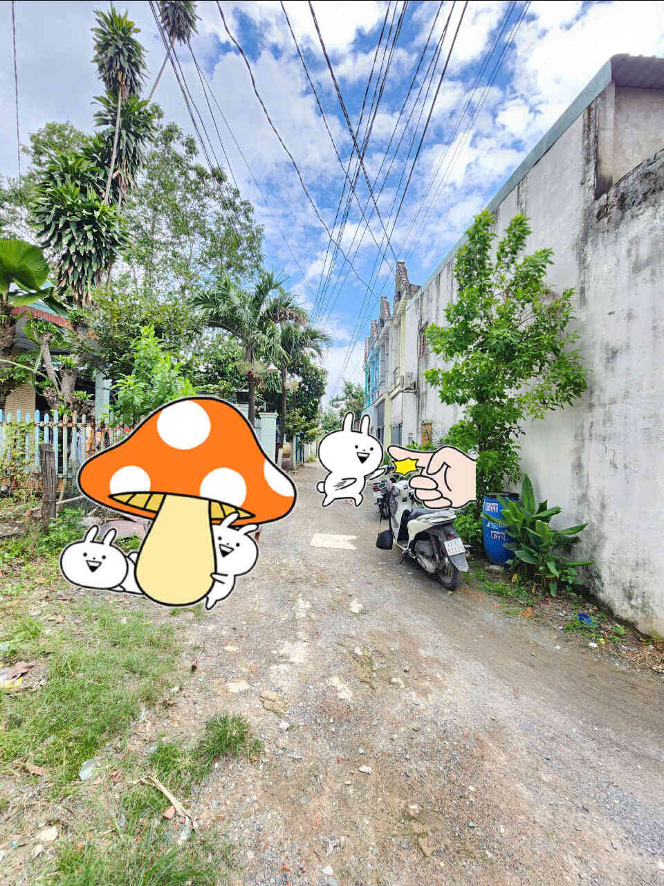 htl6894-(5)_optimized