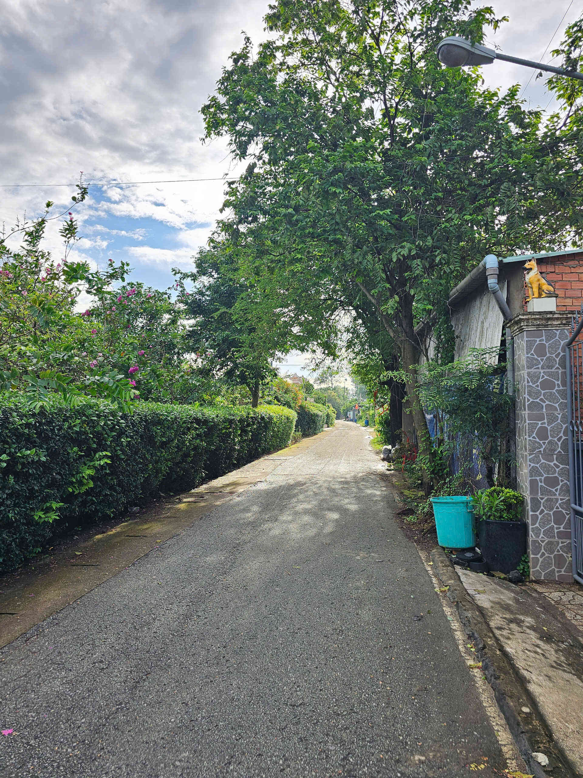 htl6911-(5)_optimized