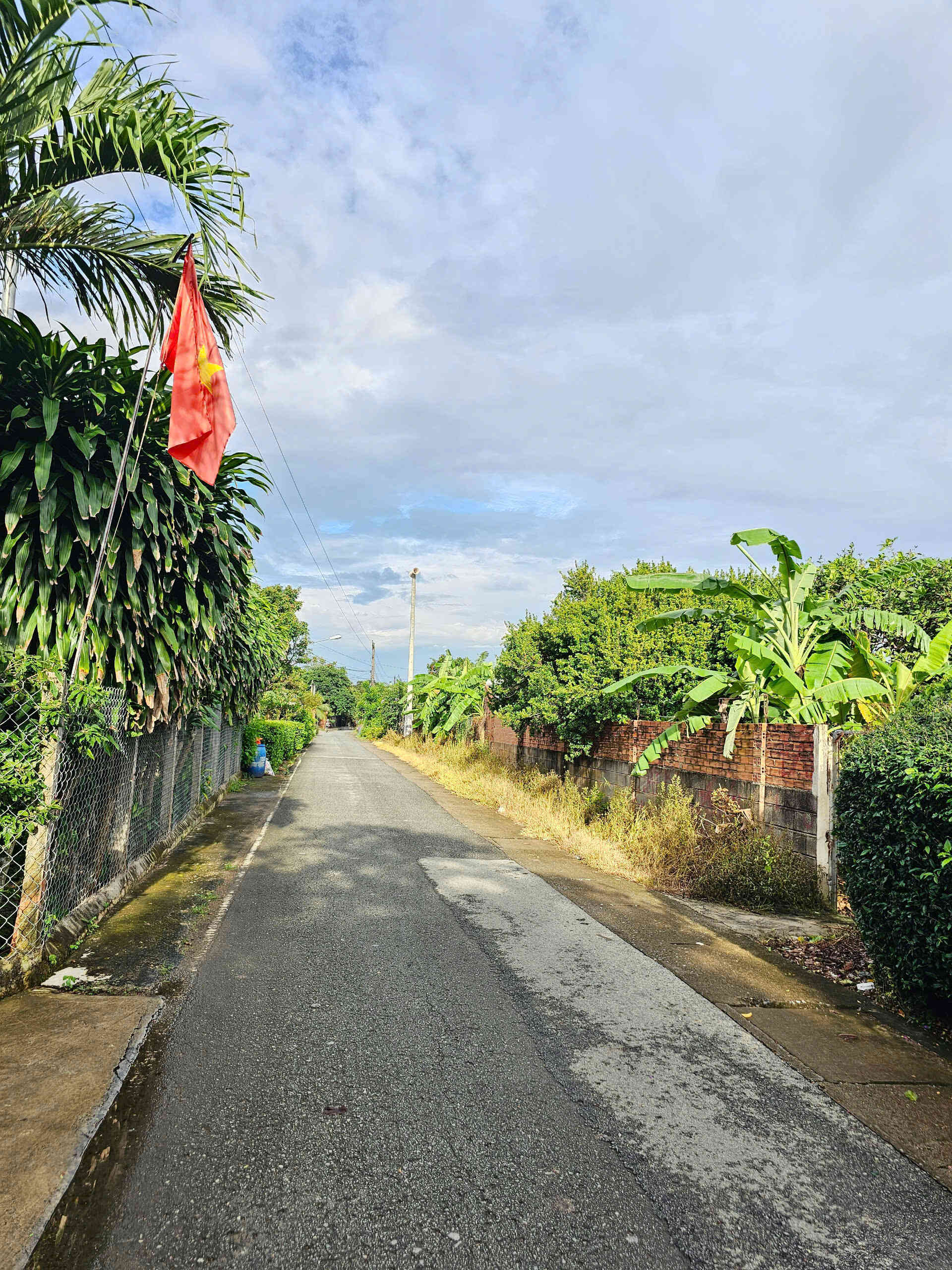 htl6911-(6)_optimized