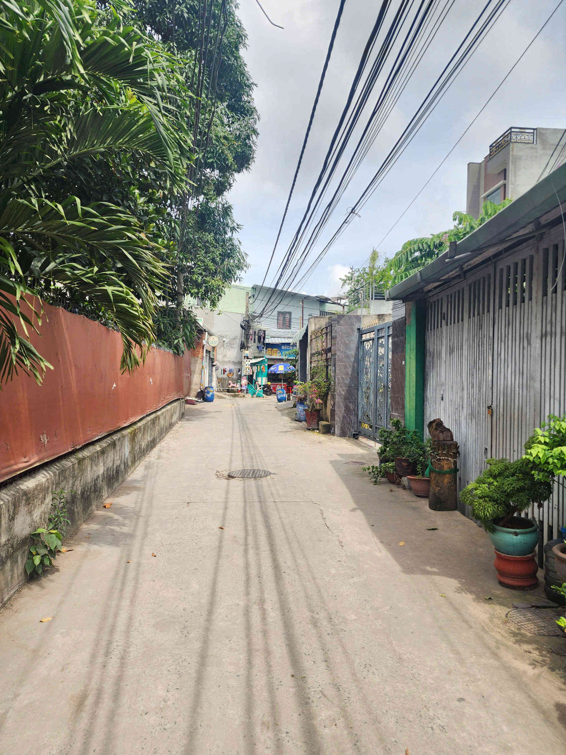 htl6937-(4)_optimized