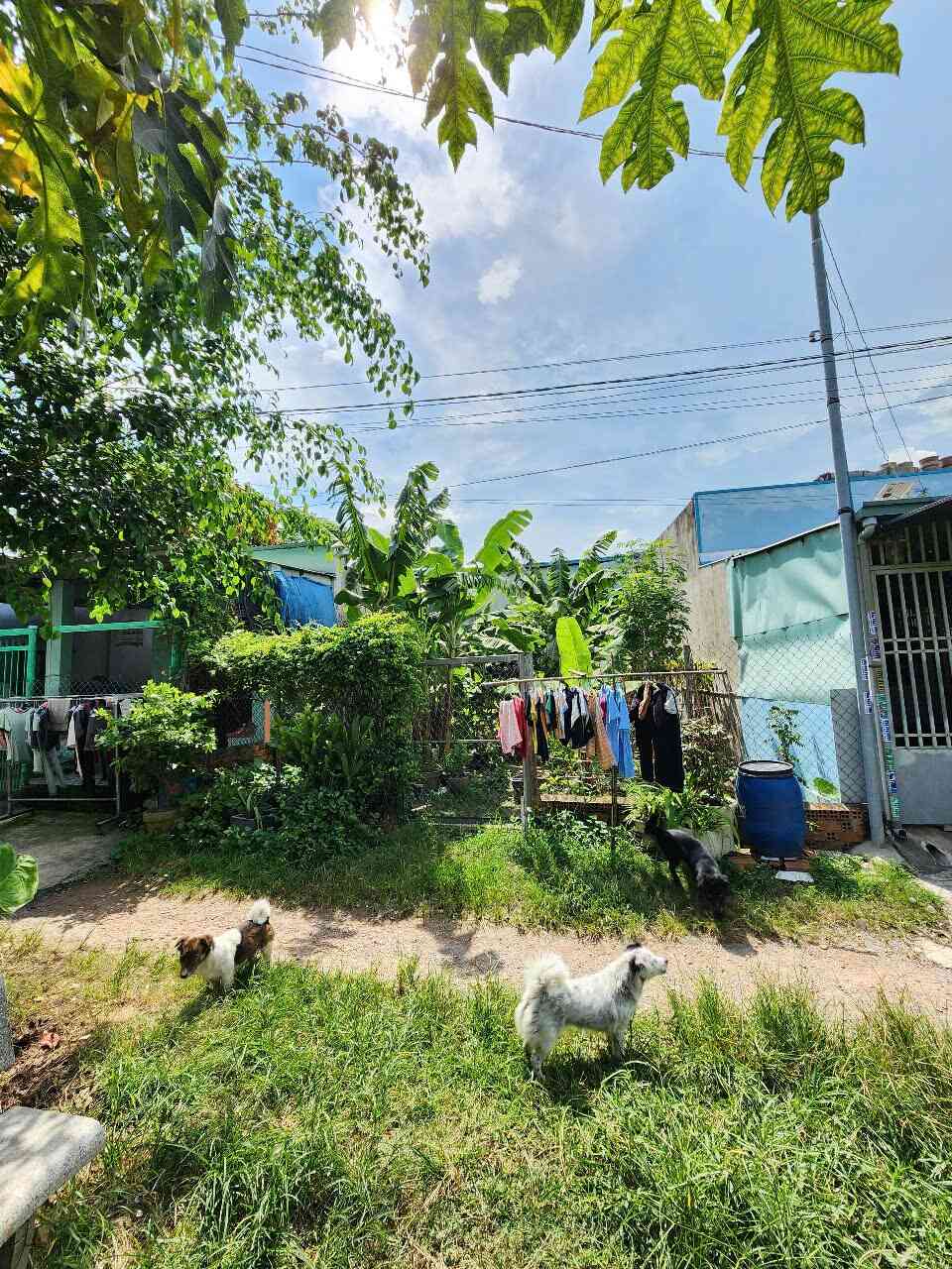 Bán đất 7.5x21m, hẻm Bình Chuẩn 66 p. Bình Chuẩn