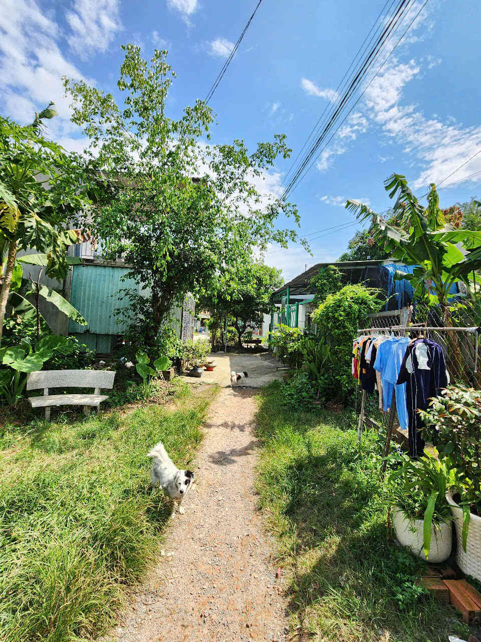 htl6986-(5)_optimized