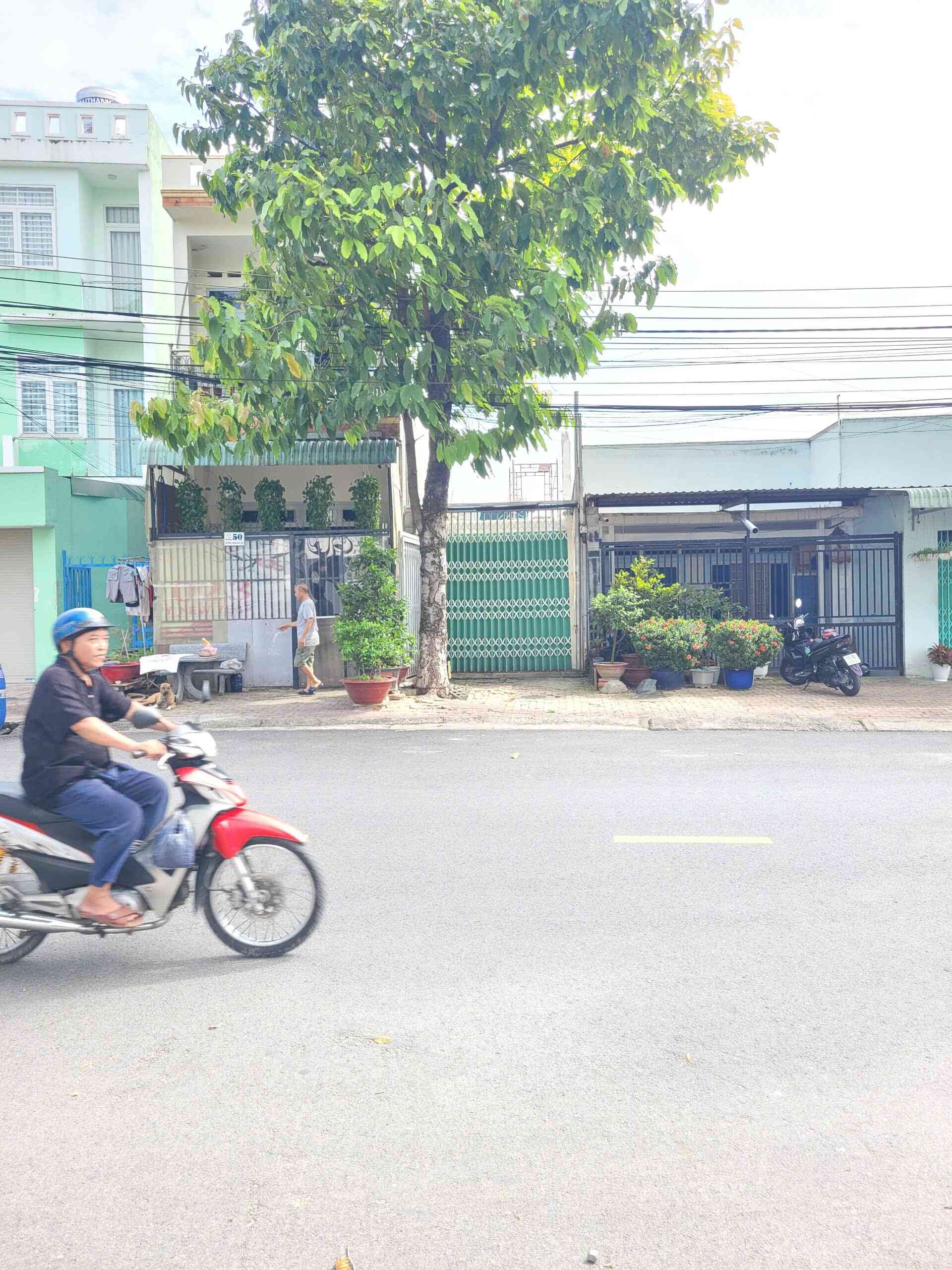 Bán đất 3.1x23m, mặt tiền Phạm Ngũ Lão p. Dĩ An gần chợ Dĩ An 1