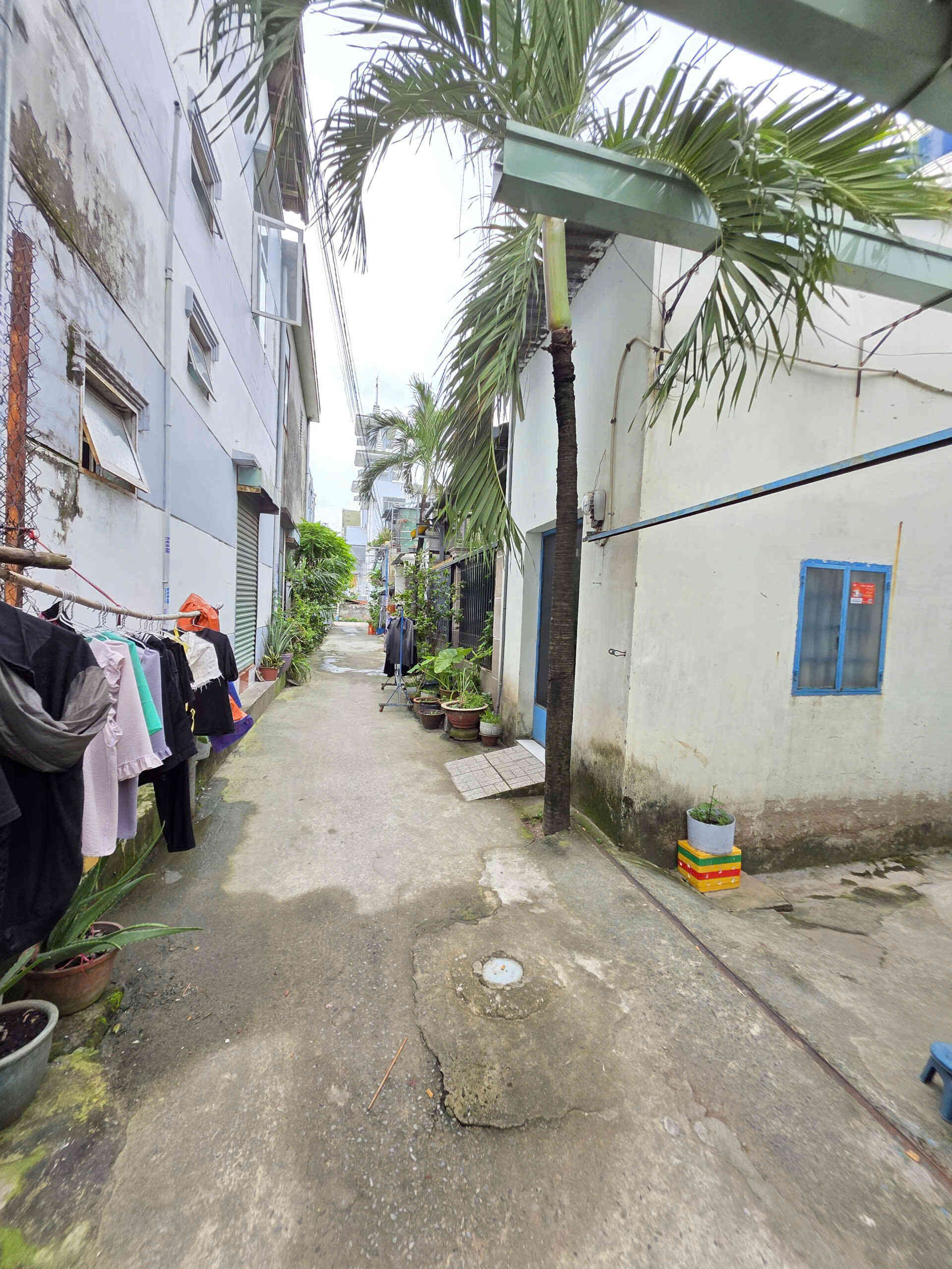 htl7124-(4)_optimized