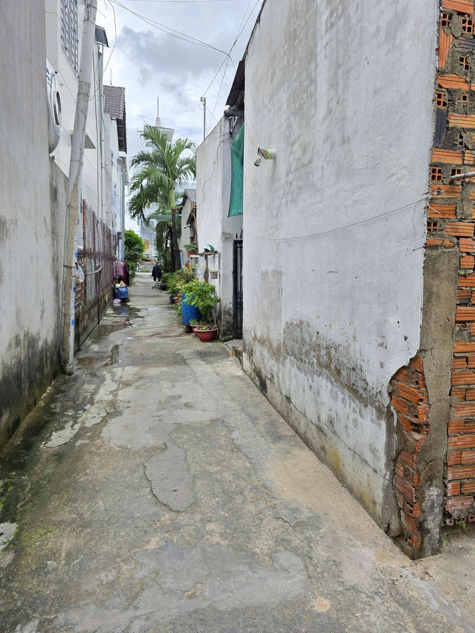 htl7124-(5)_optimized