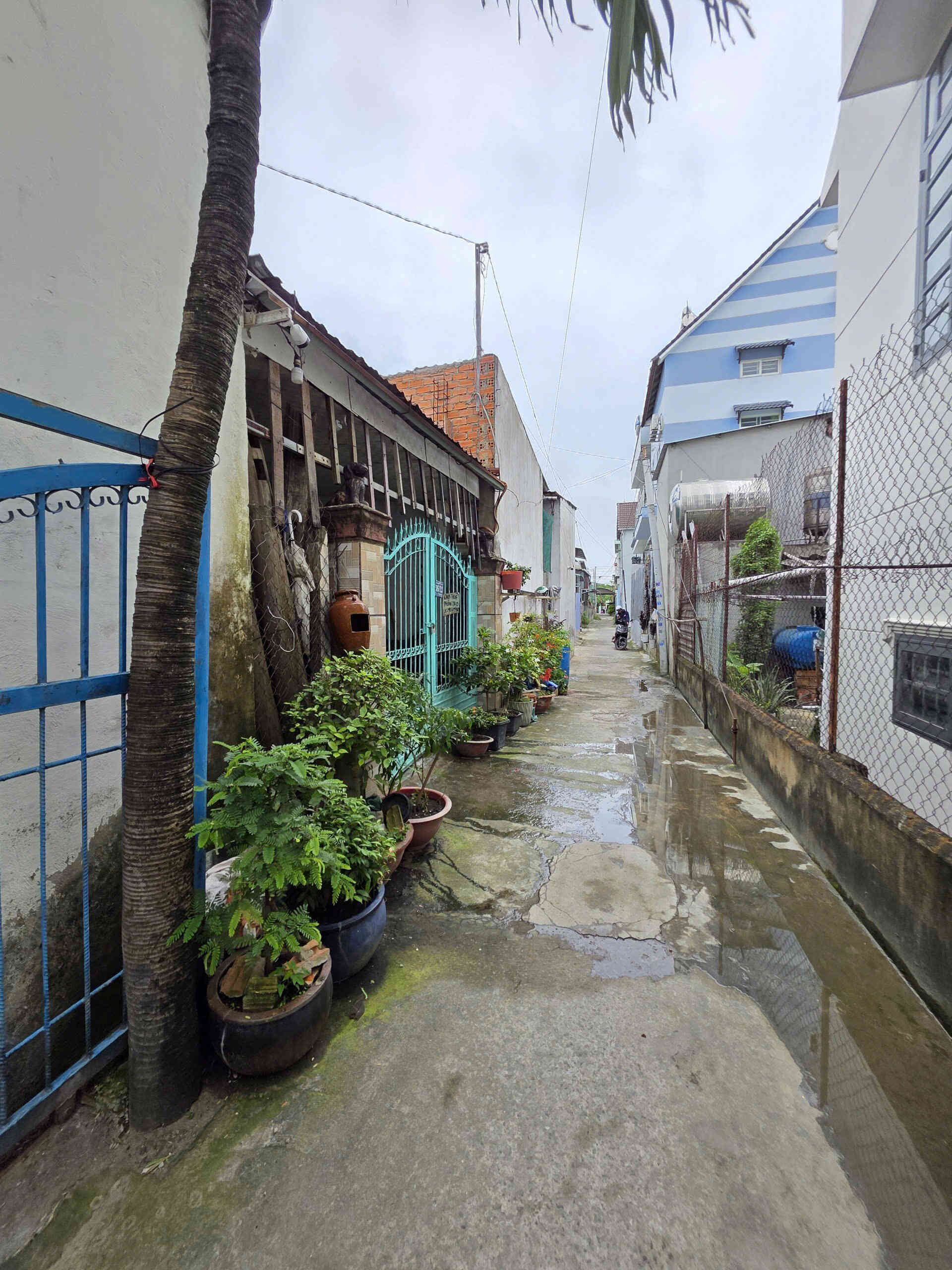 htl7124-(6)_optimized