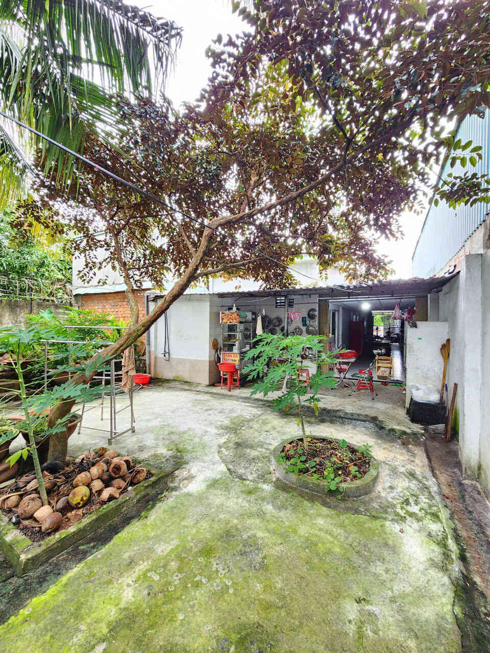 htl7128-(11)_optimized