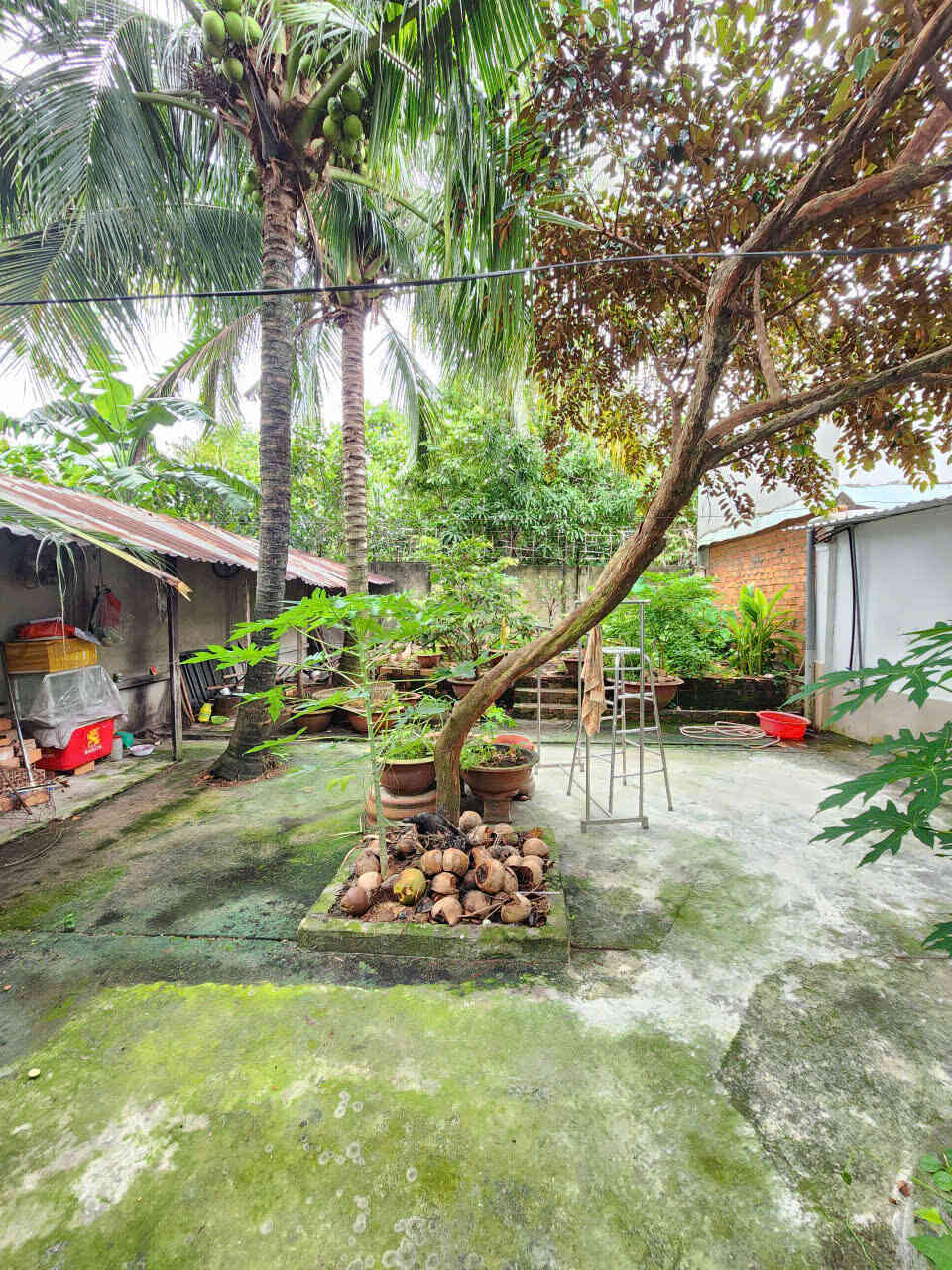 htl7128-(12)_optimized