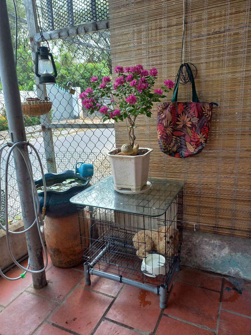 htl7141-(10)_optimized